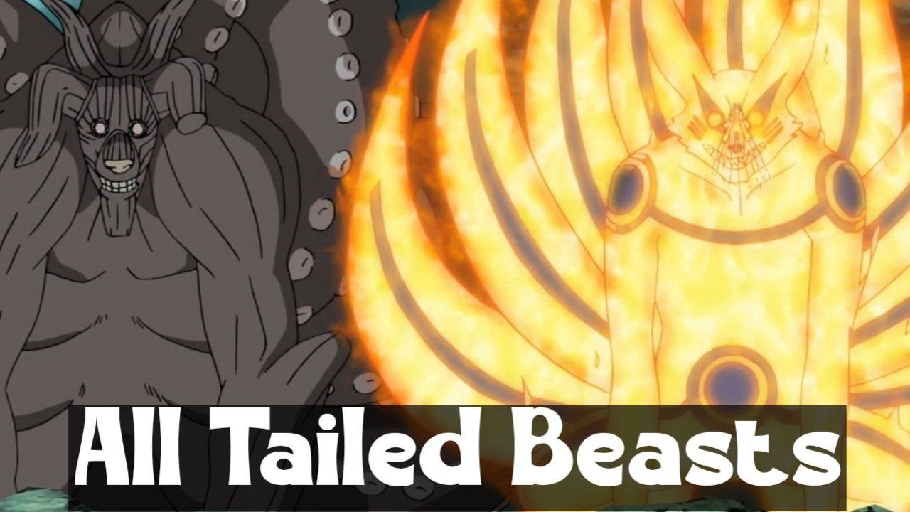 Where did all tailed beasts come from, Who is the best 9 tail beast